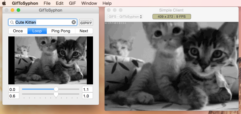 GifToSyphon Interface.