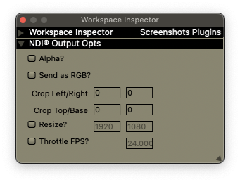 The NDI® Output plugin inspector.