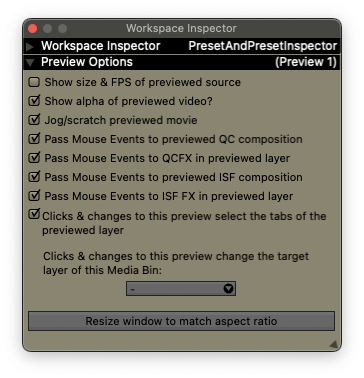 A Preview plugin's options, visible when the plugin is inspected.