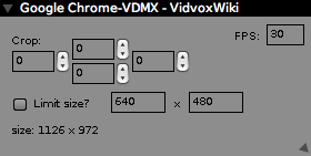 Inspector for a window video input from another application.